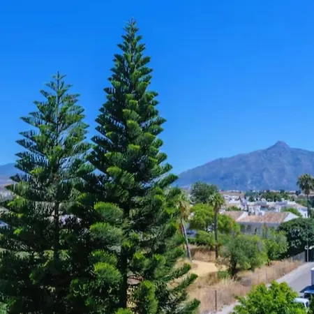 Apartment Junto Paseo Maritimo Piscinas Jardines Y Parking *